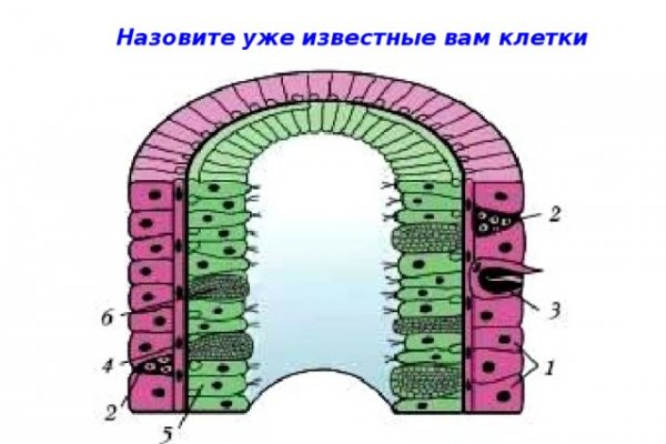 Что такое кракен в даркнете