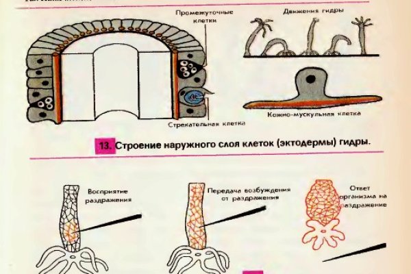 Ссылка на магазин кракен